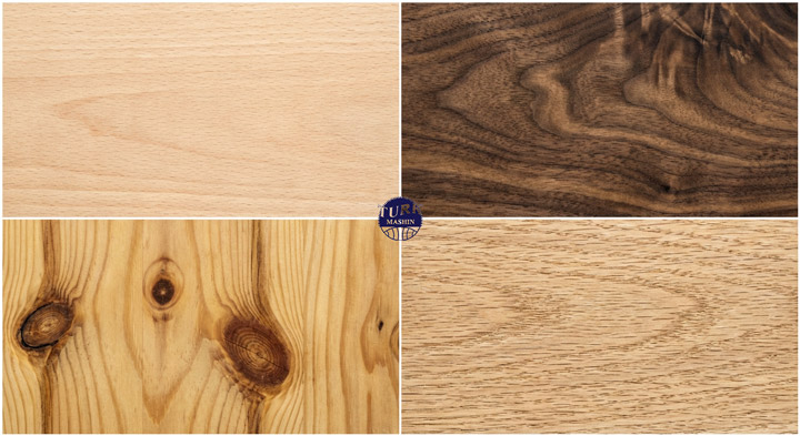 معرفی انواع چوب مورد استفاده در نجاری: از راش و گردو تا کاج 7 نمای نزدیک بافت و رگه انواع چوب نجاری