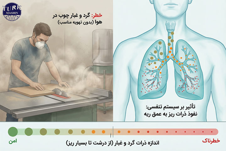 یک اینفوگرافیک آموزشی با دو بخش اصلی در یک تصویر افقی: در سمت چپ، یک نجار با ماسک نیمه‌حرفه‌ای یا بدون ماسک، در حال بریدن MDF یا نئوپان با اره میزی؛ ابر ریزگرد بسیار ریز اطراف تیغه دیده می‌شود، ذرات ریز مثل مه در هوا معلق هستند. مکنده نامناسب یا ضعیف در پس‌زمینه نشان داده شود تا گرد و غبار زیاد در محیط بماند. در سمت راست، نمای نیمه‌شفاف بدن انسان از قفسه سینه به بالا با تمرکز روی ریه‌ها؛ در داخل مجاری تنفسی و آلوئول‌های ریه، ذرات گرد و غبار با اندازه‌های مختلف به صورت نقاط رنگی نمایش داده شوند: ذرات درشت به رنگ خاکی و در مسیر بالایی متوقف شده، ذرات متوسط به رنگ نارنجی، و ذرات بسیار ریز زیر ۱۰ میکرون به رنگ قرمز در عمق ریه نفوذ کرده باشند. در کنار این تصویر، یک نوار تدریجی افقی (اسلایدر بصری) از ذرات بزرگ تا فوق‌العاده ریز رسم شود، بدون اعداد؛ فقط تغییر اندازه دایره‌ها از بزرگ به بسیار کوچک، با رنگ سبز برای امن تا قرمز برای خطرناک. سبک طراحی: ترکیب نیمه‌واقع‌گرایانه پزشکی با اینفوگرافیک، پس‌زمینه روشن، استفاده از رنگ‌های آبی و فیروزه‌ای برای قسمت‌های سالم، و قرمز/نارنجی برای خطر. با توضیحات فارسی در کنار نوار اندازه ذرات و زیر ریه‌ها.